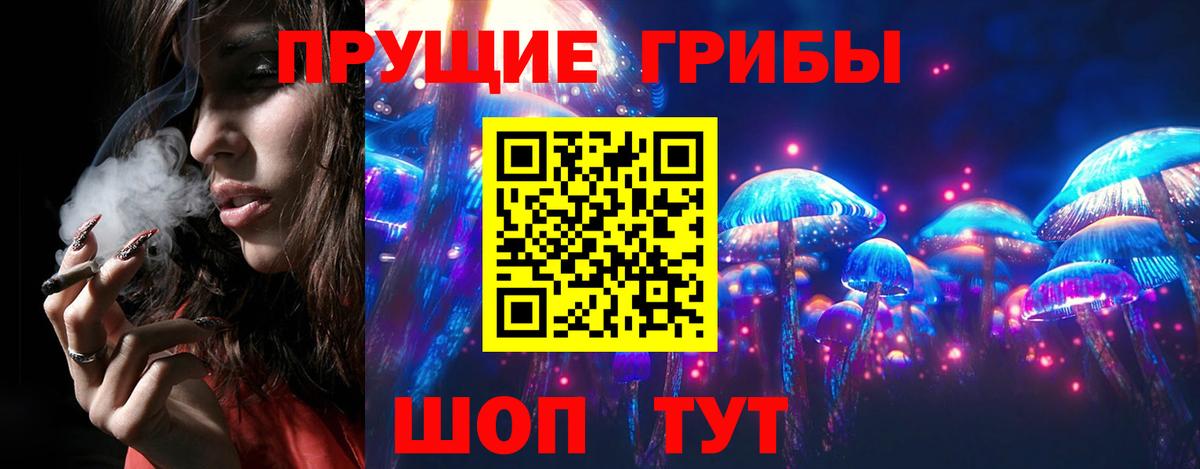 Якутск  Галлюциногенные грибы Magic Shrooms  купить  сайты  Вход с VPN 